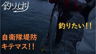【館山釣り情報】釣りっぱり！　べっくのお魚情報館！(*'▽')　4/11 Ver　自衛隊堤防へ