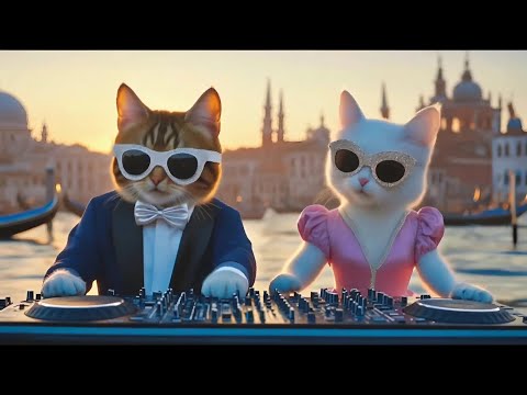 DJ Miaww Live 24/7 - Love Melodies & House Party 2025 🎶 Feel the Vibes with My Girlfriend 💃🏖️