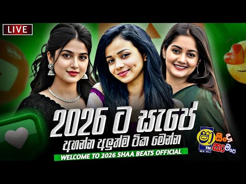 Shaa Beats and sha tunes hub