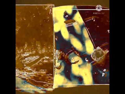 PACe KORIDO - PACe DENZ -AsherR.D - Ichad bless " Tra Bisa Bagi Waktu" ( _COVER VIDEO_ )