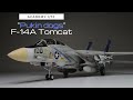 Academy 1 72 VF 143 Pukin Dogs F 14A Tomcat Speed Build