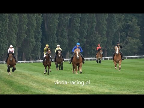 Wyścig koni zimnokrwistych, Warszawa - Służewiec, 6.10.2024