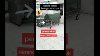 Download lagu ADA YANG BISA JELASIN ?? | KERANDA GERAK SENDIRI! #shorts #hantu #keranda #jin #ghost #trending mp3 Download lagu ADA YANG BISA JELASIN ?? | KERANDA GERAK SENDIRI! #shorts #hantu #keranda #jin #ghost #trending mp3