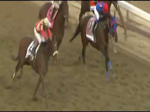 2014 Belmont Stakes Contenders Preview