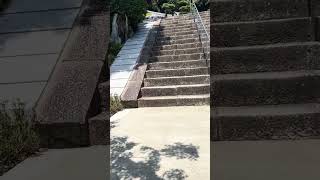 【西国33箇所巡り】三室戸寺_西国十番_part3