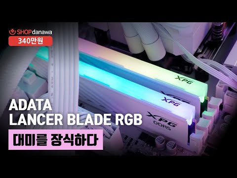 ũδн Classic II 850W 80PLUS Ǯⷯ ATX3.1 ȭƮ