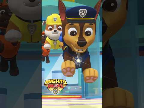 Super Patrulha Canina - A Torre da Patrulha Canina