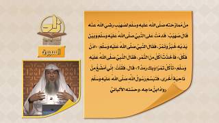 صورة المحاضرة 15 - مواقف ضحك فيها النبي ﷺ - السيرة النبوية - المستوى الرابع - الشيخ عاصم الحكيم