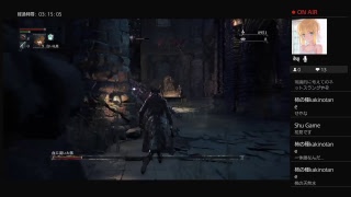 初心者の死に狂いblood born
