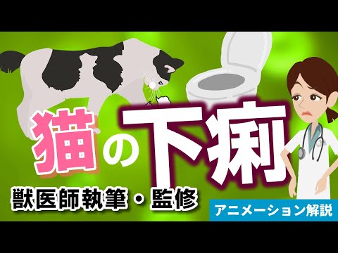 猫の下痢