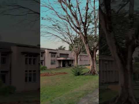 Pera vibe🥺❤️ #motivation #pera #uop