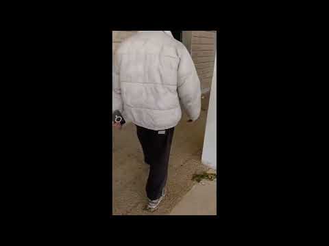 פגיעה והרס של אתרים דתיים דרוזיים בסוריה