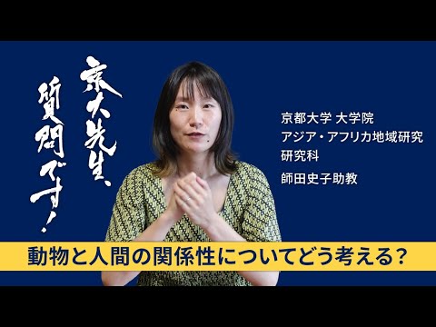 【「闘鶏」と異文化理解編】京大先生、質問です！ 師田史子（アジア・アフリカ地域研究研究科）