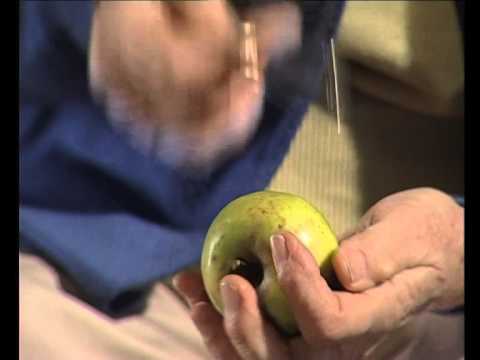 La pola rossèla…