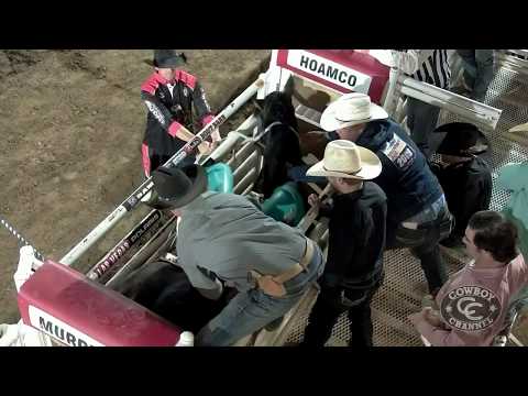 Tanner Aus | Prescott Frontier Days |  87 pts