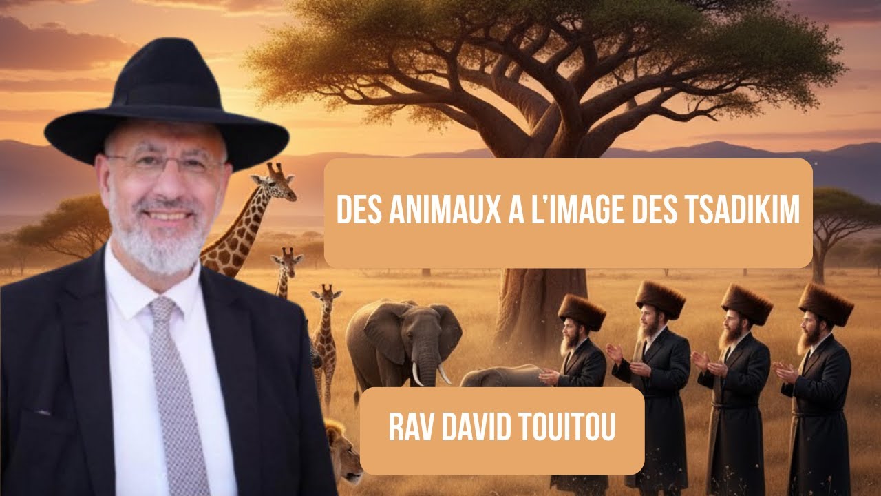 Des animaux a l image des tsadikim