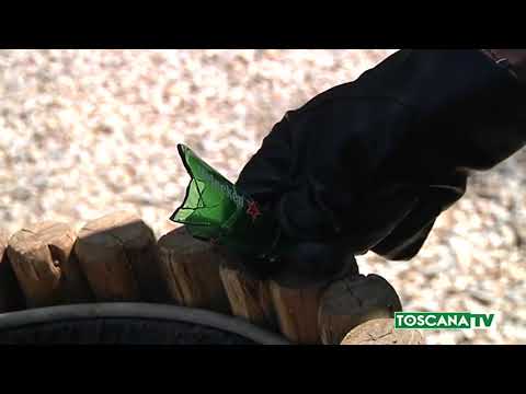 2018-02-07 PRATO - NOTTE DI VIOLENZA, UN ARRESTO PER TENTATO OMICIDIO