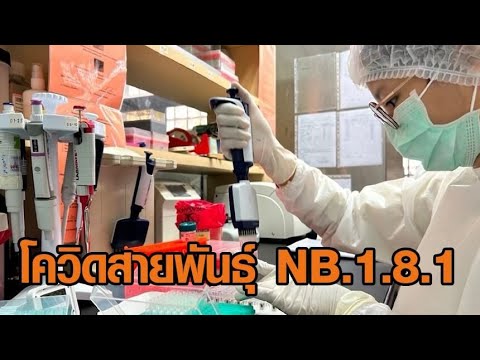 จับตาโควิด-19 ‘NB.1.8.1’ ขึ้นแท่นสายพันธุ์หลัก ระบาดในไทย-ทั่วโลก สธ.ชี้แพร่เร็วแต่ไม่รุนแรง