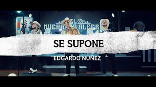Se Supone Lyrics English Translation