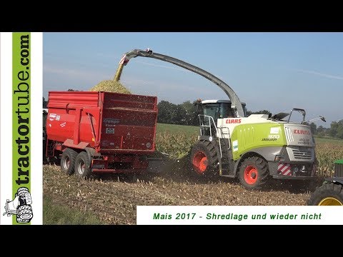 Mais 2017 - Shredlage oder nicht - Erfahrungen eines Milchviehbetriebes - pur sound