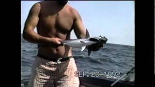preview picture of video 'Indian River Inlet Catching false albacore 1992.'