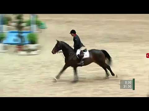 John Whitaker & Peppermill - 1.55m Munich Indoors 2011