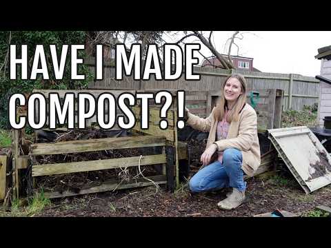HAVE I MADE COMPOST?! / ALLOTMENT GARDENING UK