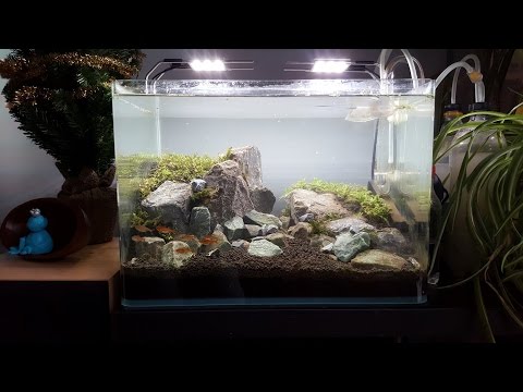 Watch Video on YouTube