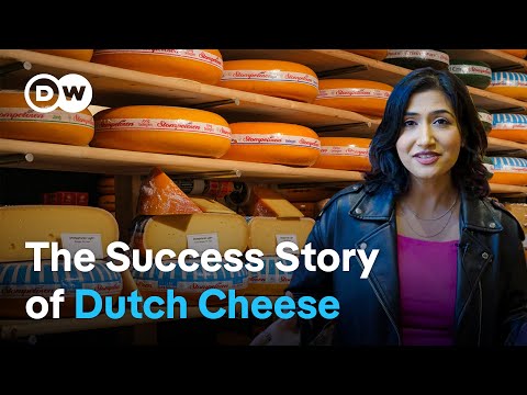 Why the Netherlands is world-famous for its cheese