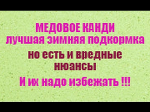 , title : 'Кормить пчел медовым канди - лучший выбор, но есть нюансы, которых надо избежать'