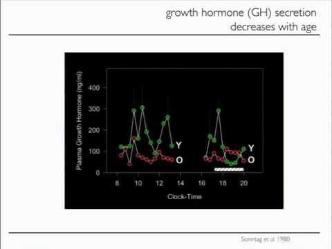 “Novel Insights Into the Role of IGF-1 on Cerebrovascular and Brain Aging”