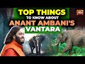 Why Anant Ambani Built Vantara A 3 000 Acre Animal Rescue And Rehab Centre