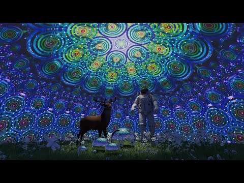 CHRYSALIS OF COLOR - Full Dome VJ Loop - Immersive Visuals Store