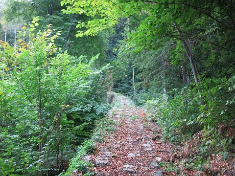 Standseilbahn Bad Ragaz - Wartenstein Berggang komplett Wartensteinbahn funicular 7310.01