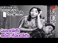 Chaduvukunna Ammayilu Movie Emandoy Niduralevandoy Video Song ANR Savitri Old Telugu Songs