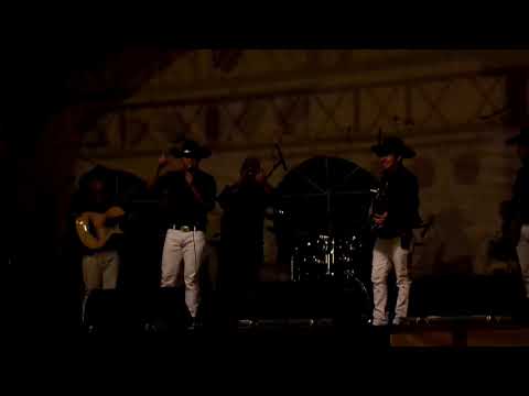 Mosaico Andariego Tenampa grupo dominio desde Ubala