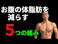 お腹の体脂肪を減らす5つの絡み! 正しく組み合わせると体脂肪燃焼は加速する!腹筋だけじゃダメ!お腹の浮輪肉が気になるなら!