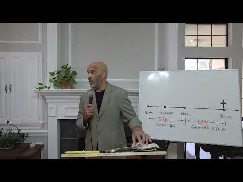 The Olive Tree, the Fig Tree & the Church