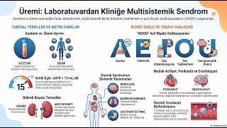 Üremi  Klinik Rehber