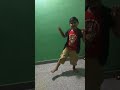 Boom Digi Boom Boom Cutedancesteps Songs Frommyworld Viralvideo L