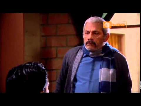 Don Alejo and Luchito - There's Room in the Back, Chapter 1102