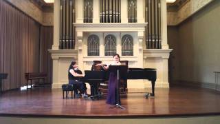 Beethoven Serenade for flute and piano Op. 41