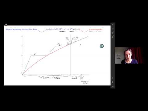 Infinite staircases and reflexive polygons - Ana Rita Pires