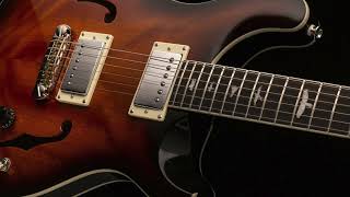 Video thumbnail for PRS SE Hollowbody Standard Electric Guitar Demo & Review by Bryan Smith - Paul Reed Smith by Zomac School of Music