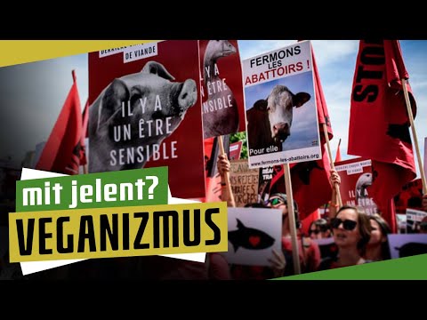 Szemölcsök intim helyeken, károsodott immunrendszerrel