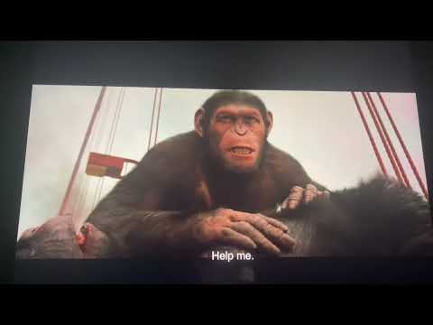 Rise Of The Planet Of The Apes: Gorilla Vs Helicopter