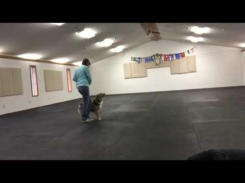 Yeager practicing Step 2 of Left Turn ( for Laura Romanik Review)