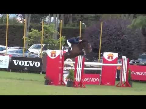 Ischa (Quidam de Revel x Darco) 1m35