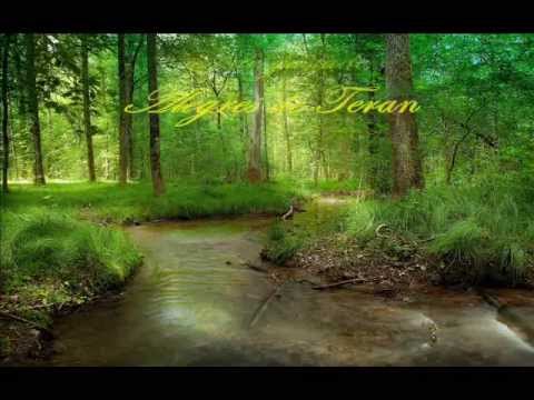 EL DESGASTADO -  ALEGRES DE TERAN