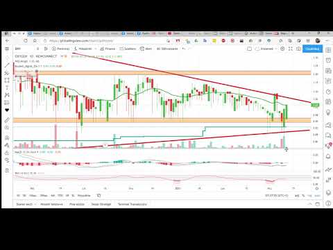 2021.03.11 "Czatowe" spółki, czyli omówienie spółek z czatu z grupy premium